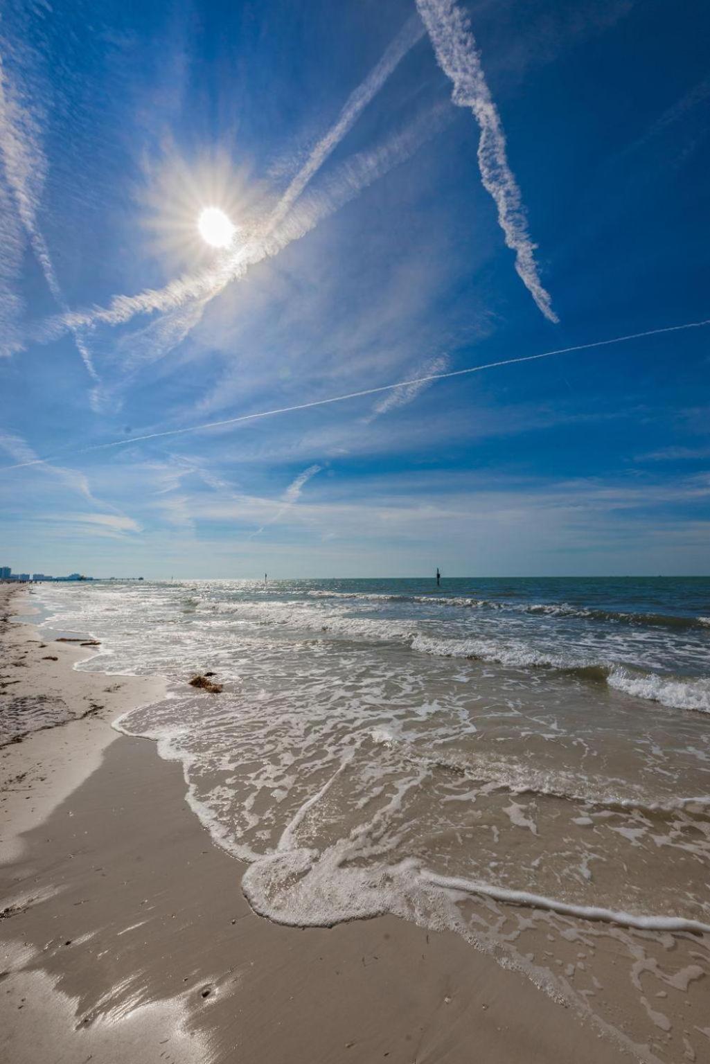 Fins Up In Clearwater Beach Eksteriør billede